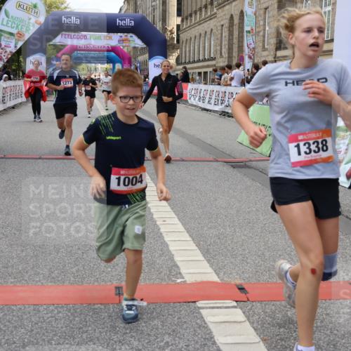 06.09.2026 - CURREX Alsterlauf Strokosch-Dieckow http://msf.ph/oto/10148241 06.09.2026 12:01:08 Ziel 1170, 1177, 1270, 1273, 1338, 3755, 4802, 8018 meine-sportfotos.de