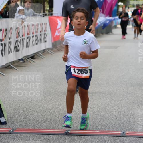 06.09.2026 - CURREX Alsterlauf Strokosch-Dieckow http://msf.ph/oto/10148315 06.09.2026 12:01:29 Ziel 1073, 1147, 1155, 1156, 1243, 1265 meine-sportfotos.de