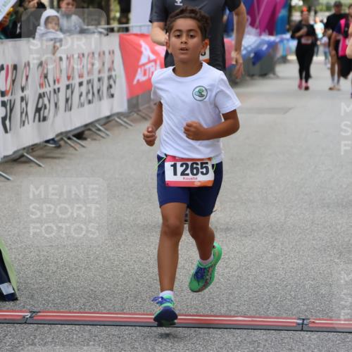 06.09.2026 - CURREX Alsterlauf Strokosch-Dieckow http://msf.ph/oto/10148318 06.09.2026 12:01:29 Ziel 1073, 1147, 1155, 1156, 1243, 1265 meine-sportfotos.de