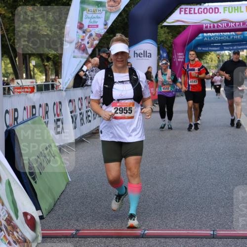 06.09.2026 - CURREX Alsterlauf Strokosch-Dieckow http://msf.ph/oto/10149006 06.09.2026 10:32:51 Ziel 2955, 4542, 4543 meine-sportfotos.de