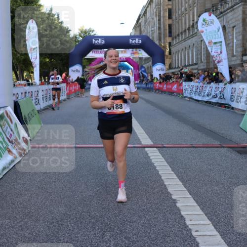 06.09.2026 - CURREX Alsterlauf Strokosch-Dieckow http://msf.ph/oto/10149144 06.09.2026 10:35:30 Ziel 5678, 6188 meine-sportfotos.de