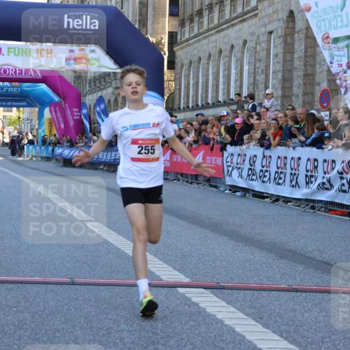 06.09.2026 - CURREX Alsterlauf Strokosch-Dieckow http://msf.ph/oto/10149198 06.09.2026 10:52:05 Ziel 255 meine-sportfotos.de