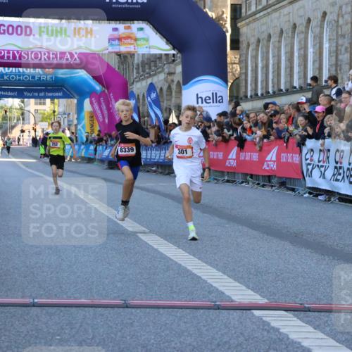 06.09.2026 - CURREX Alsterlauf Strokosch-Dieckow http://msf.ph/oto/10149208 06.09.2026 10:52:14 Ziel 252, 301, 8339 meine-sportfotos.de