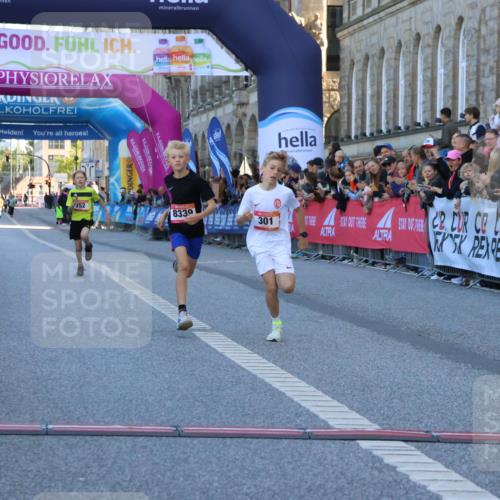 06.09.2026 - CURREX Alsterlauf Strokosch-Dieckow http://msf.ph/oto/10149209 06.09.2026 10:52:14 Ziel 252, 301, 8339 meine-sportfotos.de