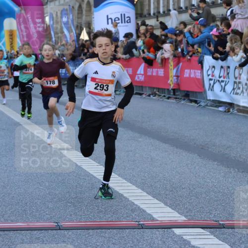 06.09.2026 - CURREX Alsterlauf Strokosch-Dieckow http://msf.ph/oto/10149262 06.09.2026 10:52:50 Ziel 151, 178, 184, 223, 281, 293, 355, 374, 388, 408, 452 meine-sportfotos.de