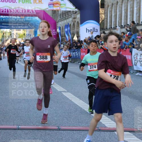 06.09.2026 - CURREX Alsterlauf Strokosch-Dieckow http://msf.ph/oto/10149275 06.09.2026 10:52:53 Ziel 151, 178, 222, 223, 250, 280, 281, 293, 355, 374, 388, 408, 452 meine-sportfotos.de