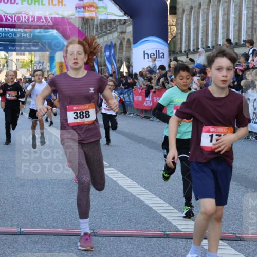 06.09.2026 - CURREX Alsterlauf Strokosch-Dieckow http://msf.ph/oto/10149280 06.09.2026 10:52:53 Ziel 151, 178, 222, 223, 250, 280, 281, 293, 355, 374, 388, 408, 452 meine-sportfotos.de