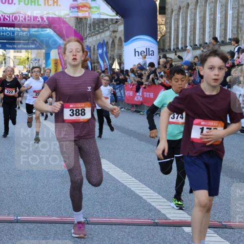 06.09.2026 - CURREX Alsterlauf Strokosch-Dieckow http://msf.ph/oto/10149281 06.09.2026 10:52:53 Ziel 151, 178, 222, 223, 250, 280, 281, 293, 355, 374, 388, 408, 452 meine-sportfotos.de