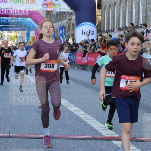 06.09.2026 - CURREX Alsterlauf Strokosch-Dieckow http://msf.ph/oto/10149282 06.09.2026 10:52:53 Ziel 151, 178, 222, 223, 250, 280, 281, 293, 355, 374, 388, 408, 452 meine-sportfotos.de