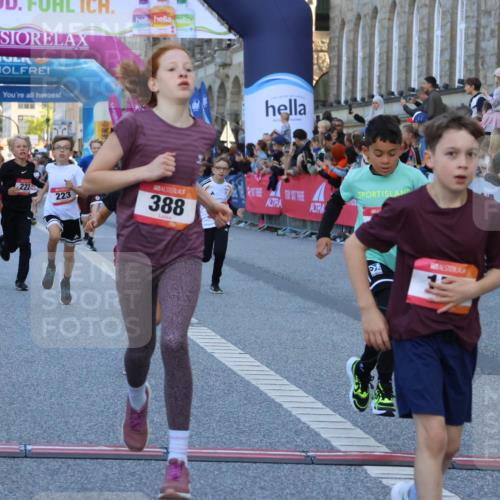 06.09.2026 - CURREX Alsterlauf Strokosch-Dieckow http://msf.ph/oto/10149285 06.09.2026 10:52:54 Ziel 151, 178, 222, 223, 250, 251, 280, 293, 355, 374, 388, 408 meine-sportfotos.de