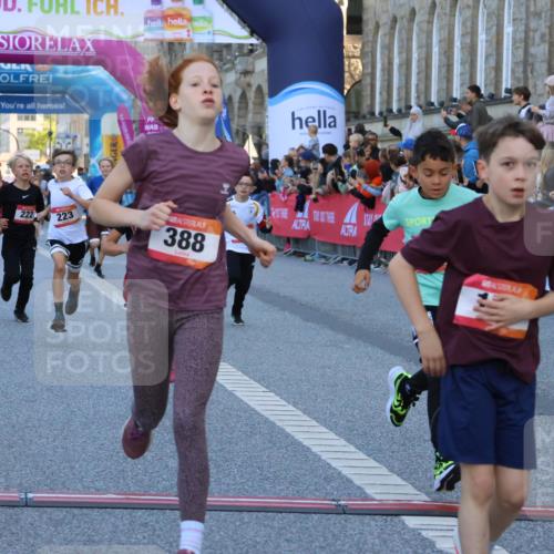 06.09.2026 - CURREX Alsterlauf Strokosch-Dieckow http://msf.ph/oto/10149286 06.09.2026 10:52:54 Ziel 151, 178, 222, 223, 250, 251, 280, 293, 355, 374, 388, 408 meine-sportfotos.de