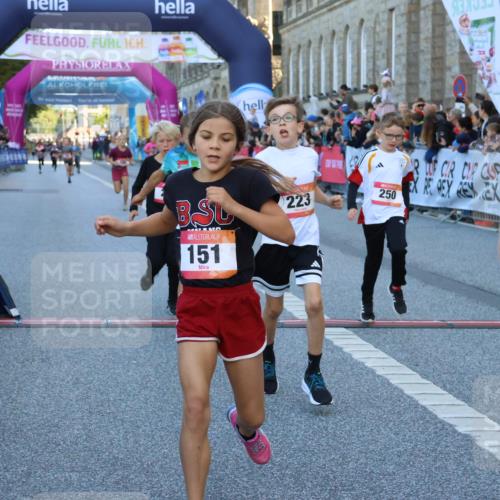 06.09.2026 - CURREX Alsterlauf Strokosch-Dieckow http://msf.ph/oto/10149288 06.09.2026 10:52:56 Ziel 151, 158, 178, 222, 223, 250, 251, 280, 293, 374, 388, 430 meine-sportfotos.de