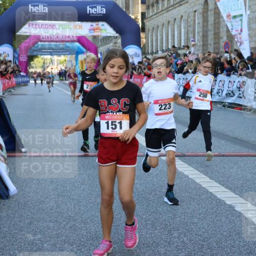 06.09.2026 - CURREX Alsterlauf Strokosch-Dieckow http://msf.ph/oto/10149290 06.09.2026 10:52:56 Ziel 151, 158, 178, 222, 223, 250, 251, 280, 293, 374, 388, 430 meine-sportfotos.de