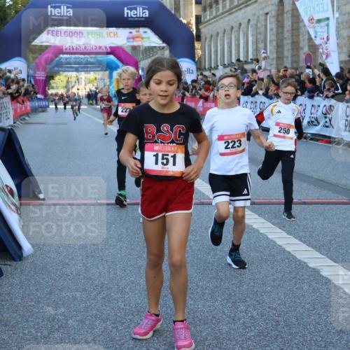 06.09.2026 - CURREX Alsterlauf Strokosch-Dieckow http://msf.ph/oto/10149291 06.09.2026 10:52:57 Ziel 151, 158, 178, 222, 223, 250, 251, 280, 293, 374, 388, 430 meine-sportfotos.de