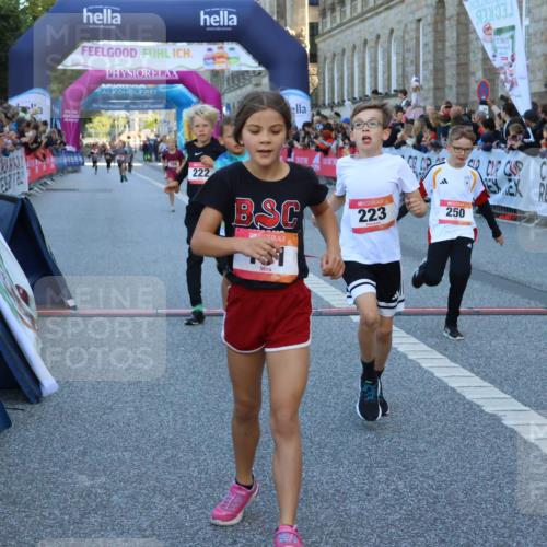 06.09.2026 - CURREX Alsterlauf Strokosch-Dieckow http://msf.ph/oto/10149292 06.09.2026 10:52:57 Ziel 151, 158, 178, 222, 223, 250, 251, 280, 293, 374, 388, 430 meine-sportfotos.de