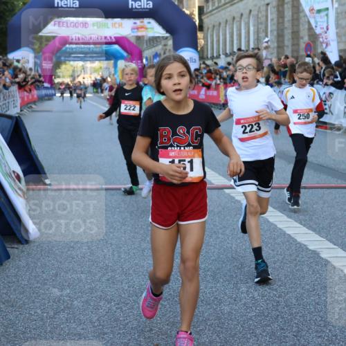 06.09.2026 - CURREX Alsterlauf Strokosch-Dieckow http://msf.ph/oto/10149295 06.09.2026 10:52:57 Ziel 151, 158, 178, 222, 223, 250, 251, 280, 293, 374, 388, 430 meine-sportfotos.de