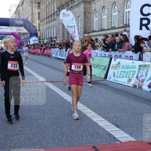 06.09.2026 - CURREX Alsterlauf Strokosch-Dieckow http://msf.ph/oto/10149299 06.09.2026 10:53:04 Ziel 158, 168, 246, 247, 251, 282, 303, 430, 432 meine-sportfotos.de