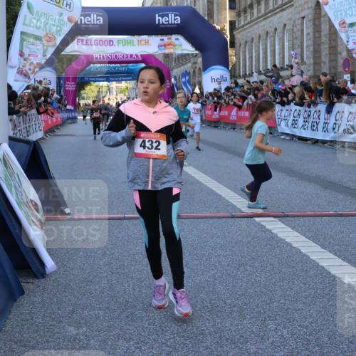 06.09.2026 - CURREX Alsterlauf Strokosch-Dieckow http://msf.ph/oto/10149307 06.09.2026 10:53:09 Ziel 168, 170, 183, 246, 247, 272, 282, 303, 432 meine-sportfotos.de