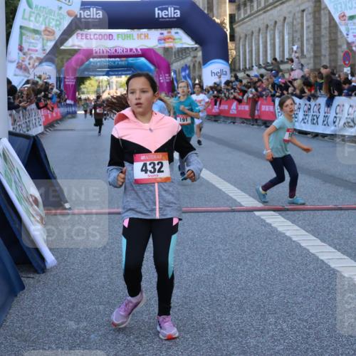 06.09.2026 - CURREX Alsterlauf Strokosch-Dieckow http://msf.ph/oto/10149312 06.09.2026 10:53:10 Ziel 168, 170, 183, 246, 247, 272, 282, 303, 309, 432 meine-sportfotos.de