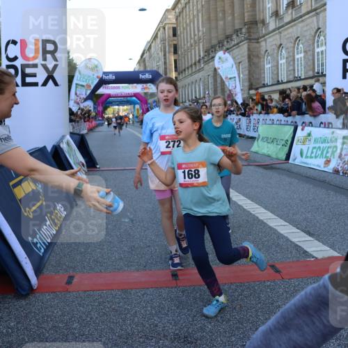 06.09.2026 - CURREX Alsterlauf Strokosch-Dieckow http://msf.ph/oto/10149321 06.09.2026 10:53:12 Ziel 168, 170, 183, 247, 272, 303, 309, 432, 8182 meine-sportfotos.de