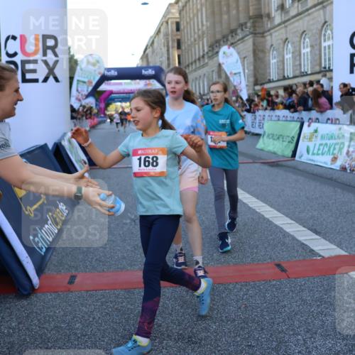 06.09.2026 - CURREX Alsterlauf Strokosch-Dieckow http://msf.ph/oto/10149325 06.09.2026 10:53:13 Ziel 168, 170, 183, 204, 247, 272, 309, 432, 8182 meine-sportfotos.de