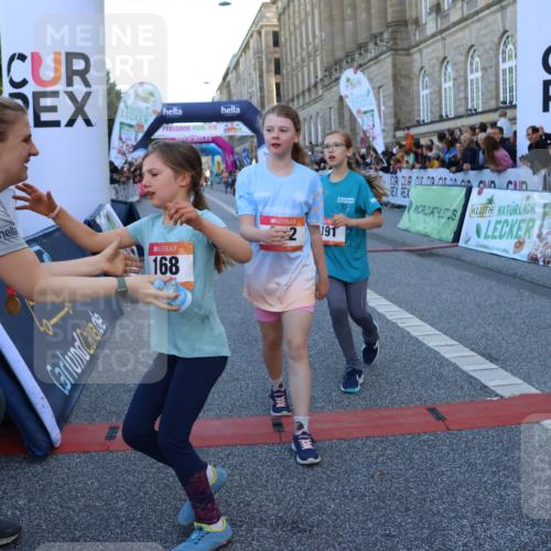 06.09.2026 - CURREX Alsterlauf Strokosch-Dieckow http://msf.ph/oto/10149328 06.09.2026 10:53:13 Ziel 168, 170, 183, 204, 247, 272, 309, 432, 8182 meine-sportfotos.de