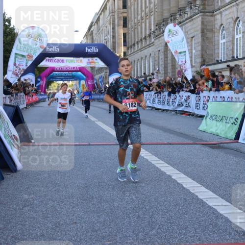 06.09.2026 - CURREX Alsterlauf Strokosch-Dieckow http://msf.ph/oto/10149330 06.09.2026 10:53:17 Ziel 170, 175, 183, 204, 210, 272, 309, 8182, 8220, 8262 meine-sportfotos.de