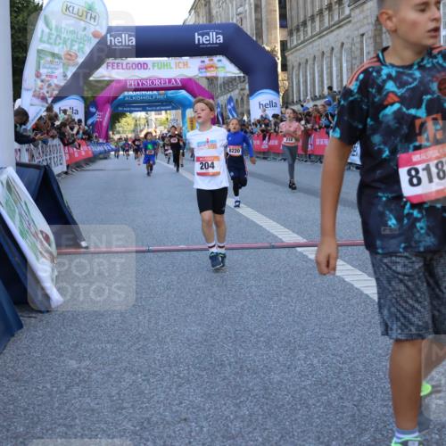 06.09.2026 - CURREX Alsterlauf Strokosch-Dieckow http://msf.ph/oto/10149338 06.09.2026 10:53:18 Ziel 170, 175, 183, 186, 204, 210, 309, 397, 420, 8182, 8220, 8262 meine-sportfotos.de
