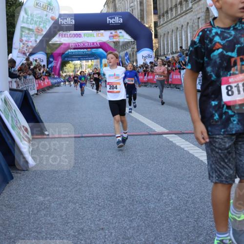 06.09.2026 - CURREX Alsterlauf Strokosch-Dieckow http://msf.ph/oto/10149339 06.09.2026 10:53:18 Ziel 170, 175, 183, 186, 204, 210, 309, 397, 420, 8182, 8220, 8262 meine-sportfotos.de