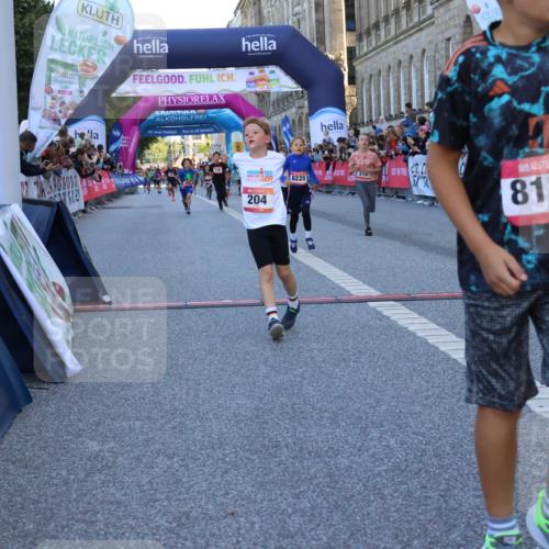 06.09.2026 - CURREX Alsterlauf Strokosch-Dieckow http://msf.ph/oto/10149340 06.09.2026 10:53:19 Ziel 170, 175, 183, 186, 204, 210, 309, 397, 420, 8182, 8220, 8262 meine-sportfotos.de
