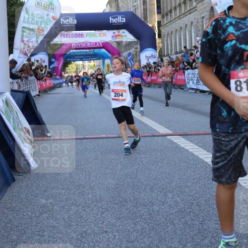 06.09.2026 - CURREX Alsterlauf Strokosch-Dieckow http://msf.ph/oto/10149342 06.09.2026 10:53:19 Ziel 170, 175, 183, 186, 204, 210, 309, 397, 420, 8182, 8220, 8262 meine-sportfotos.de