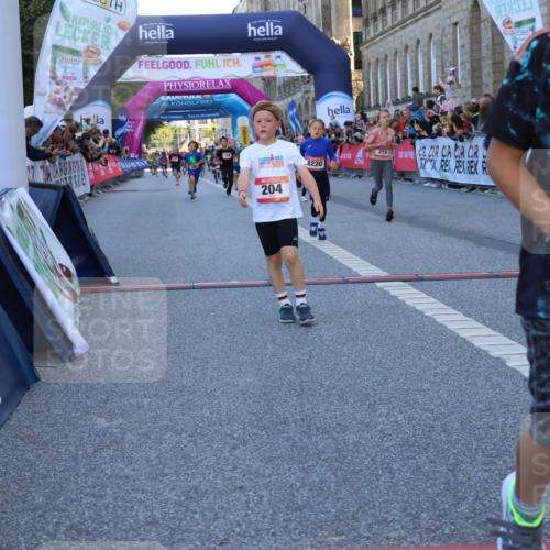 06.09.2026 - CURREX Alsterlauf Strokosch-Dieckow http://msf.ph/oto/10149346 06.09.2026 10:53:19 Ziel 170, 175, 183, 186, 204, 210, 309, 397, 420, 8182, 8220, 8262 meine-sportfotos.de