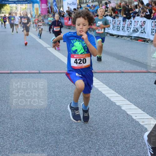 06.09.2026 - CURREX Alsterlauf Strokosch-Dieckow http://msf.ph/oto/10149348 06.09.2026 10:53:24 Ziel 175, 186, 204, 210, 227, 233, 314, 317, 336, 397, 420, 8124, 8220, 8262 meine-sportfotos.de