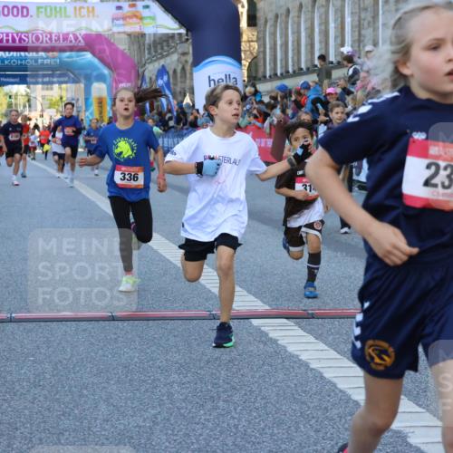 06.09.2026 - CURREX Alsterlauf Strokosch-Dieckow http://msf.ph/oto/10149360 06.09.2026 10:53:29 Ziel 175, 186, 190, 227, 233, 263, 275, 314, 317, 336, 338, 397, 420, 8124, 8180, 8262, 8329 meine-sportfotos.de