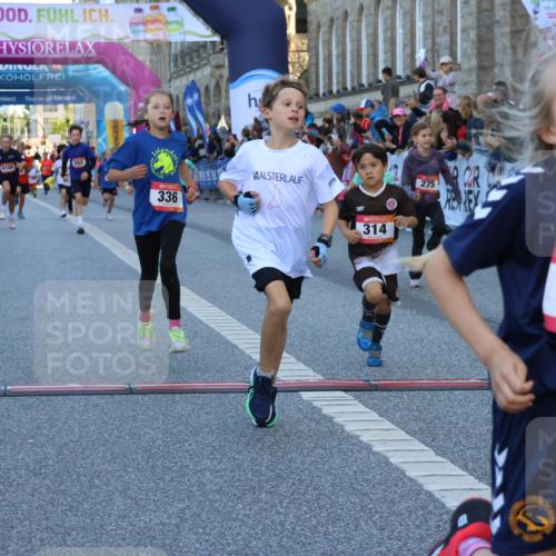 06.09.2026 - CURREX Alsterlauf Strokosch-Dieckow http://msf.ph/oto/10149362 06.09.2026 10:53:29 Ziel 175, 186, 190, 227, 233, 263, 275, 314, 317, 336, 338, 397, 420, 8124, 8180, 8262, 8329 meine-sportfotos.de