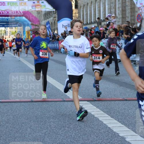 06.09.2026 - CURREX Alsterlauf Strokosch-Dieckow http://msf.ph/oto/10149365 06.09.2026 10:53:29 Ziel 175, 186, 190, 227, 233, 263, 275, 314, 317, 336, 338, 397, 420, 8124, 8180, 8262, 8329 meine-sportfotos.de