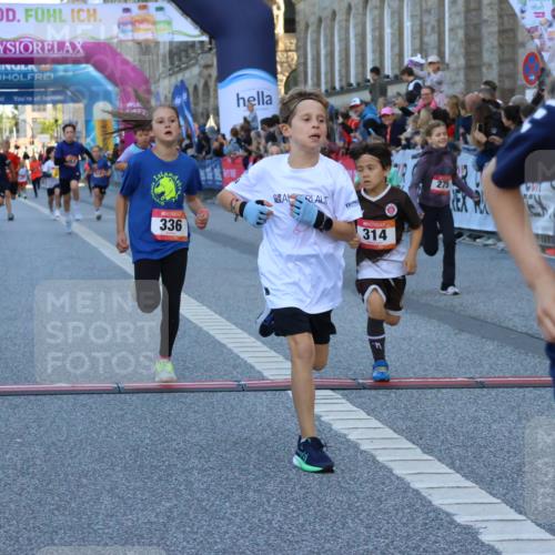 06.09.2026 - CURREX Alsterlauf Strokosch-Dieckow http://msf.ph/oto/10149366 06.09.2026 10:53:29 Ziel 175, 186, 190, 227, 233, 263, 275, 314, 317, 336, 338, 397, 420, 8124, 8180, 8262, 8329 meine-sportfotos.de