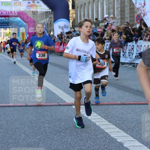 06.09.2026 - CURREX Alsterlauf Strokosch-Dieckow http://msf.ph/oto/10149368 06.09.2026 10:53:29 Ziel 175, 186, 190, 227, 233, 263, 275, 314, 317, 336, 338, 397, 420, 8124, 8180, 8262, 8329 meine-sportfotos.de
