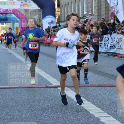 06.09.2026 - CURREX Alsterlauf Strokosch-Dieckow http://msf.ph/oto/10149369 06.09.2026 10:53:29 Ziel 175, 186, 190, 227, 233, 263, 275, 314, 317, 336, 338, 397, 420, 8124, 8180, 8262, 8329 meine-sportfotos.de