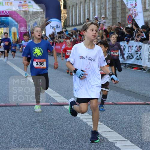 06.09.2026 - CURREX Alsterlauf Strokosch-Dieckow http://msf.ph/oto/10149373 06.09.2026 10:53:30 Ziel 186, 190, 227, 233, 263, 274, 275, 314, 317, 336, 338, 397, 402, 420, 8124, 8180, 8181, 8329 meine-sportfotos.de