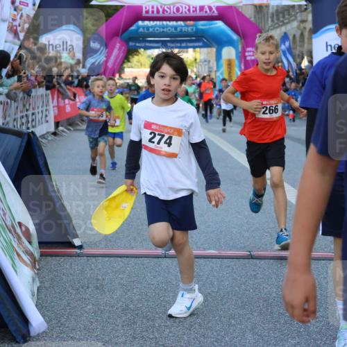 06.09.2026 - CURREX Alsterlauf Strokosch-Dieckow http://msf.ph/oto/10149387 06.09.2026 10:53:36 Ziel 159, 190, 219, 263, 265, 266, 274, 275, 306, 314, 330, 336, 338, 402, 415, 445, 8124, 8180, 8181, 8329 meine-sportfotos.de