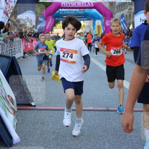 06.09.2026 - CURREX Alsterlauf Strokosch-Dieckow http://msf.ph/oto/10149388 06.09.2026 10:53:36 Ziel 159, 190, 219, 263, 265, 266, 274, 275, 306, 314, 330, 336, 338, 402, 415, 445, 8124, 8180, 8181, 8329 meine-sportfotos.de