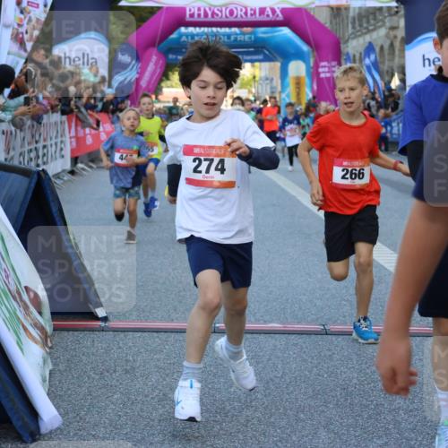 06.09.2026 - CURREX Alsterlauf Strokosch-Dieckow http://msf.ph/oto/10149389 06.09.2026 10:53:36 Ziel 159, 190, 219, 263, 265, 266, 274, 275, 306, 314, 330, 336, 338, 402, 415, 445, 8124, 8180, 8181, 8329 meine-sportfotos.de