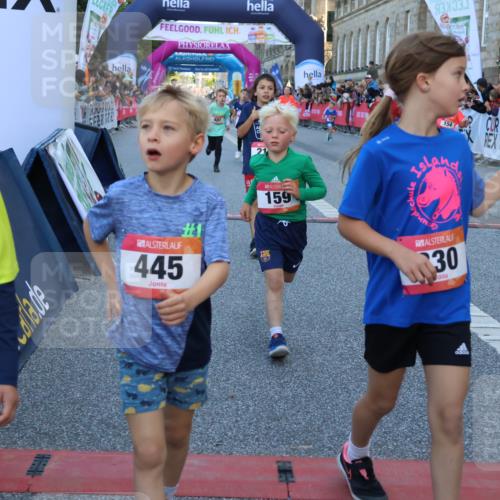 06.09.2026 - CURREX Alsterlauf Strokosch-Dieckow http://msf.ph/oto/10149394 06.09.2026 10:53:42 Ziel 154, 159, 214, 219, 257, 259, 265, 266, 274, 286, 306, 330, 401, 402, 415, 445, 8123, 8181 meine-sportfotos.de