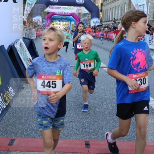 06.09.2026 - CURREX Alsterlauf Strokosch-Dieckow http://msf.ph/oto/10149396 06.09.2026 10:53:42 Ziel 154, 159, 214, 219, 257, 259, 265, 266, 274, 286, 306, 330, 401, 402, 415, 445, 8123, 8181 meine-sportfotos.de