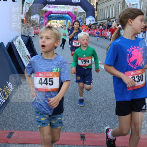 06.09.2026 - CURREX Alsterlauf Strokosch-Dieckow http://msf.ph/oto/10149397 06.09.2026 10:53:42 Ziel 154, 159, 214, 219, 257, 259, 265, 266, 274, 286, 306, 330, 401, 402, 415, 445, 8123, 8181 meine-sportfotos.de
