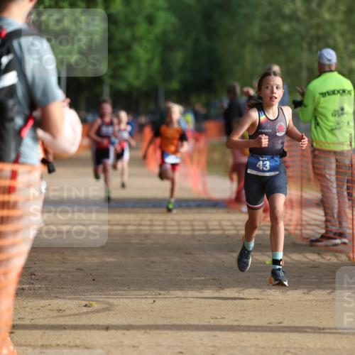 06.09.2026 - 20. Norderstedt Triathlon Mo-Foto http://msf.ph/oto/10154347 06.09.2026 09:09:34 Laufen 43, 2 meine-sportfotos.de
