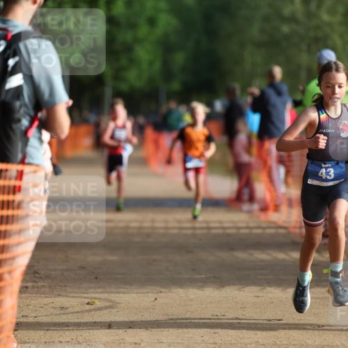 06.09.2026 - 20. Norderstedt Triathlon Mo-Foto http://msf.ph/oto/10154352 06.09.2026 09:09:35 Laufen 43, 2 meine-sportfotos.de