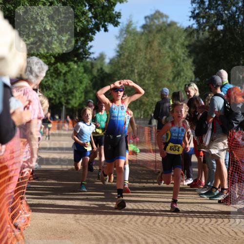 06.09.2026 - 20. Norderstedt Triathlon Mo-Foto http://msf.ph/oto/10155726 06.09.2026 09:42:06 Laufen 604, 606, 606, 627, 627, 643, 643, 649, 661, 685, 693 meine-sportfotos.de
