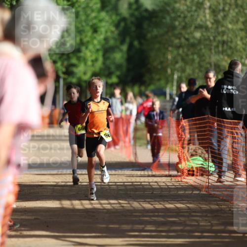 06.09.2026 - 20. Norderstedt Triathlon Mo-Foto http://msf.ph/oto/10156694 06.09.2026 09:44:40 Laufen 66, 60 meine-sportfotos.de